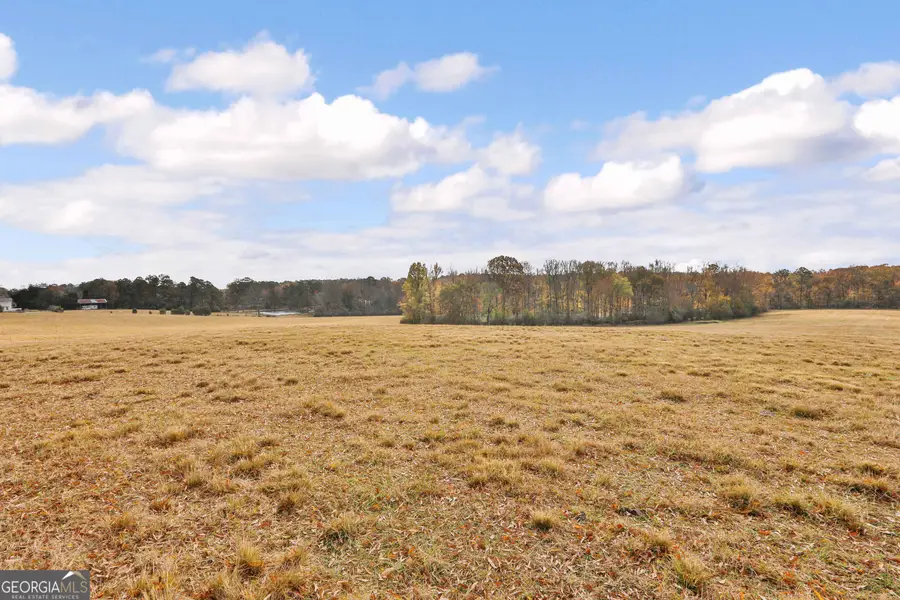 LOT 7 Mask Road - Hanner's Farm South, Brooks, GA 30205 - #3