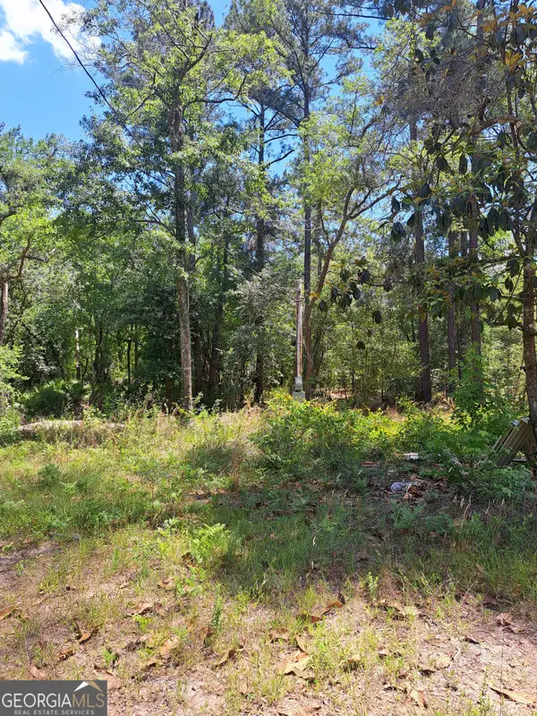 608 Bass Road, Reidsville, GA 30453