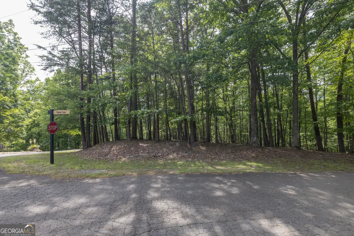 150 Sitting Bull Court, Waleska, GA 30183 - #1