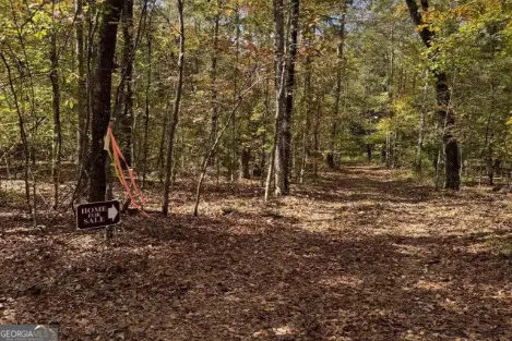 2.57 ACRES Flint River Road, Molena, GA 30258 - #3