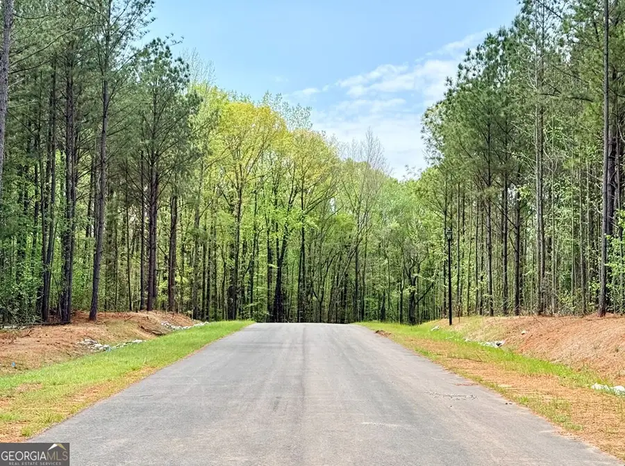 150 Rolling Meadows Way, Waverly Hall, GA 31831 - #3