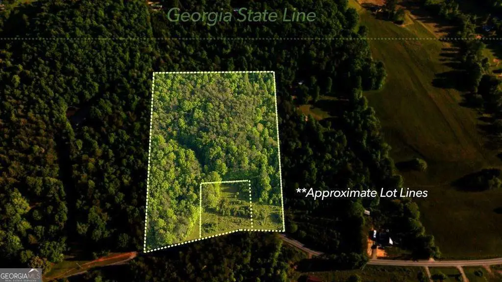 TR 1&2 W Gum Log Road, Warne, NC 28909 - #1