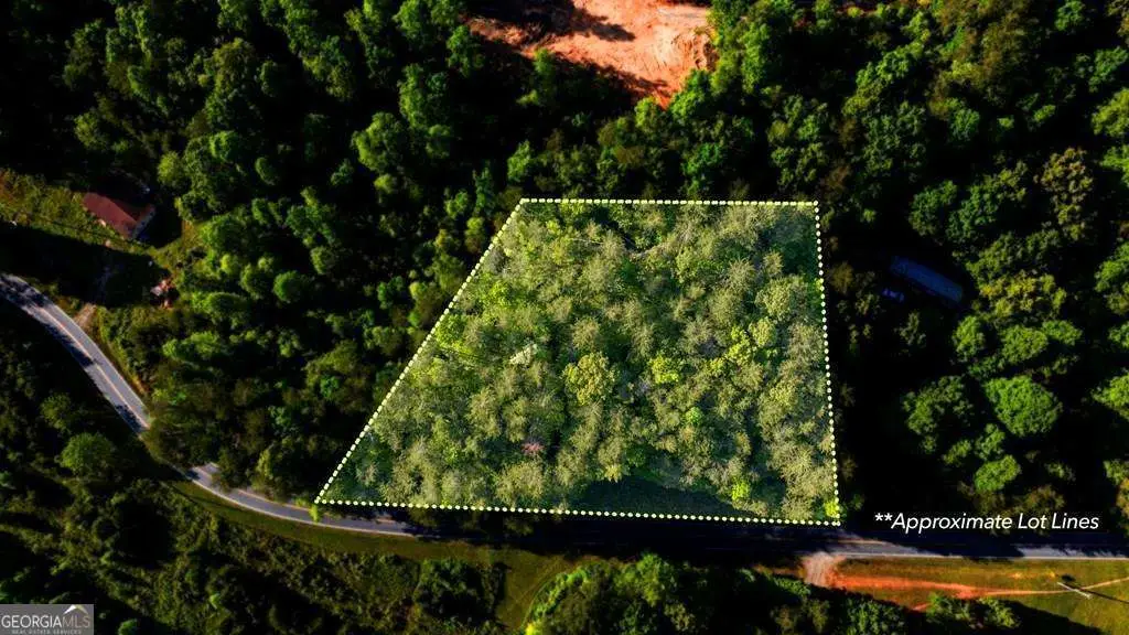 TR 3 W Gum Log Road, Warne, NC 28909 - #1