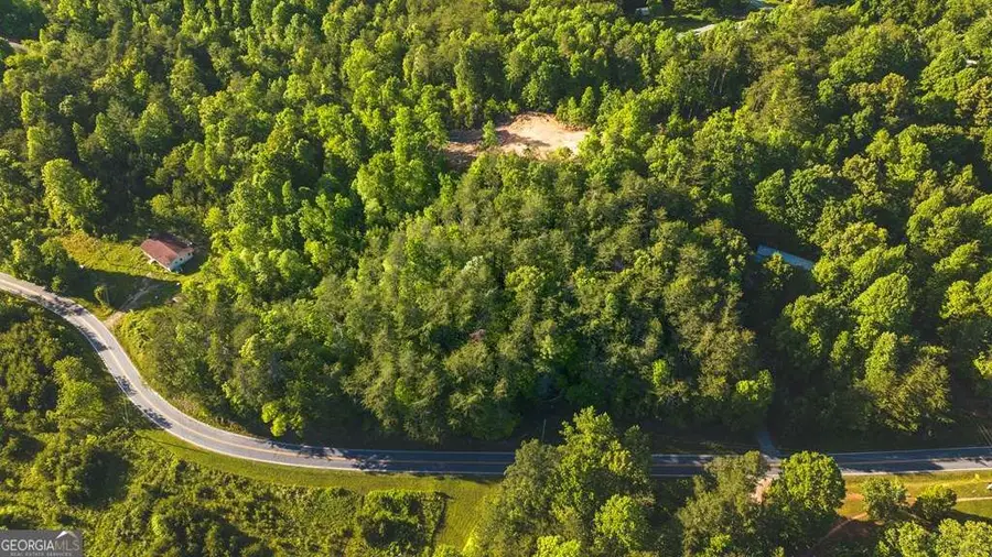 TR 3 W Gum Log Road, Warne, NC 28909 - #2