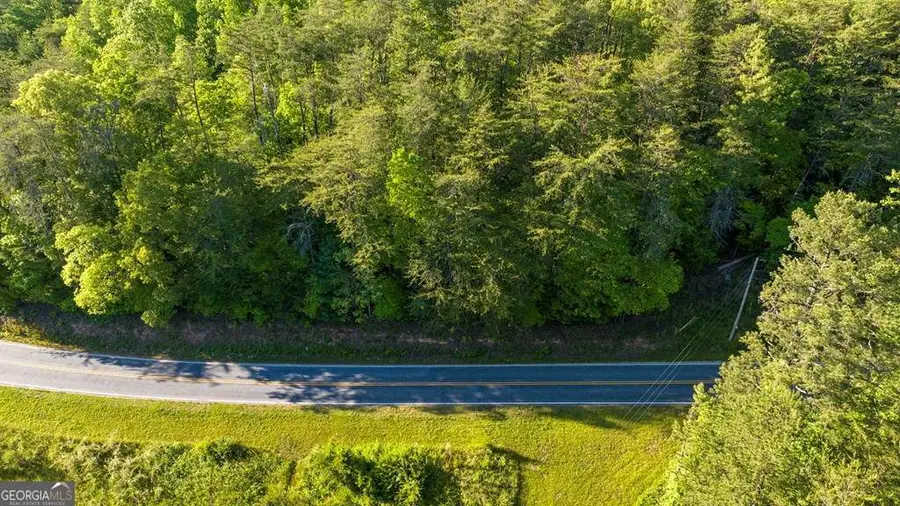 TR 3 W Gum Log Road, Warne, NC 28909 - #3