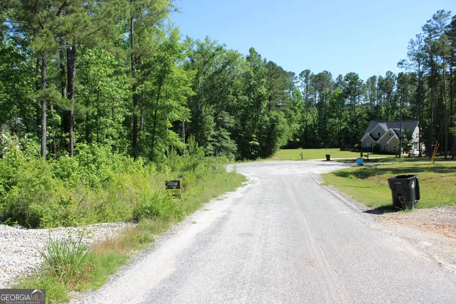 343 S Singley Drive, Locust Grove, GA 30248 - #2