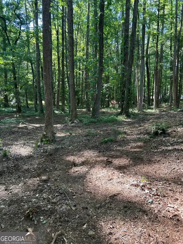 46 Davis Road, Hiram, GA 30141