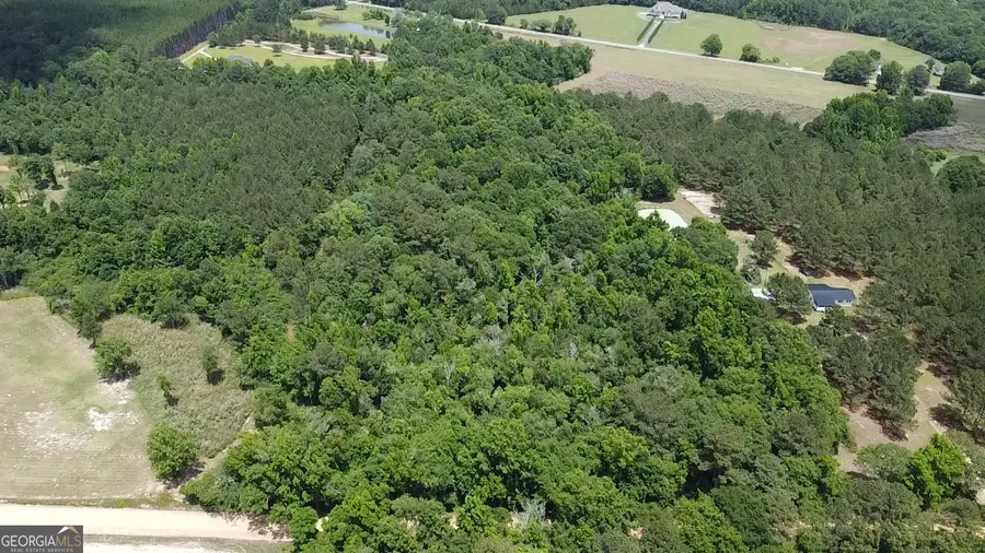 400 Julian Simpson Road, Cochran, GA 31014 - #3