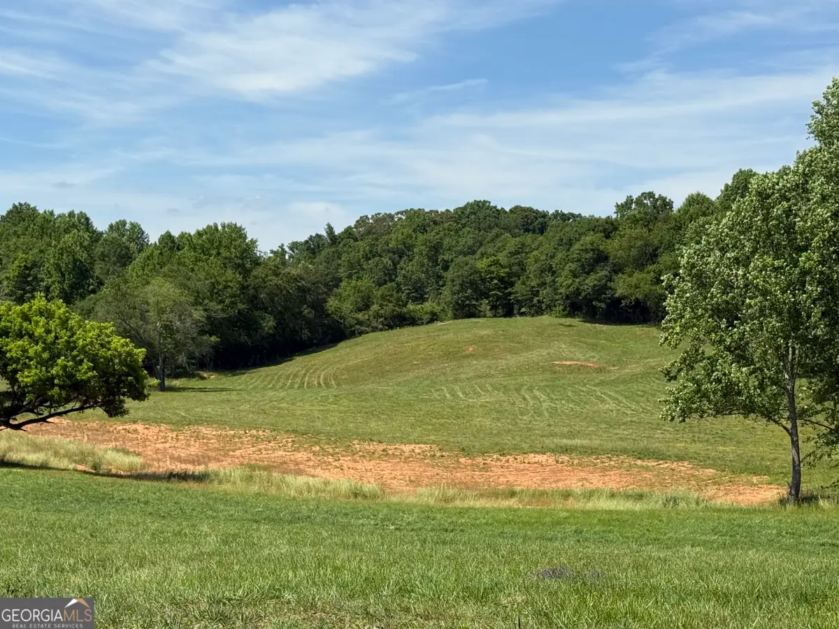 603 Wall Bridge Road, Clarkesville, GA 30523 - #1