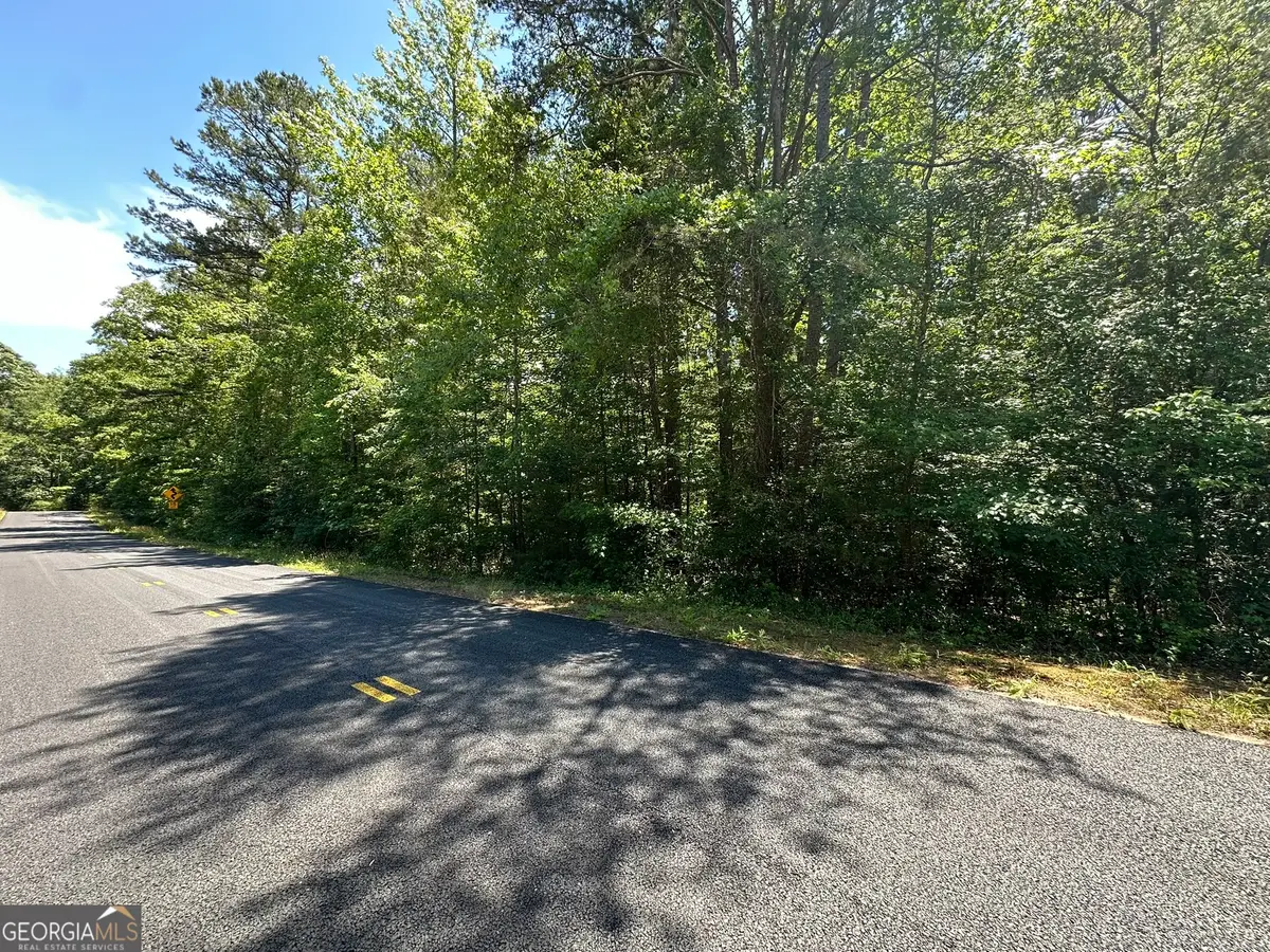 38 S Century Drive, Martin, GA 30557 - #1