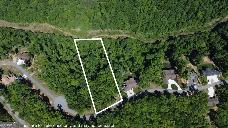 LOT 98 Winding Ridge, Blairsville, GA 30512 - #3
