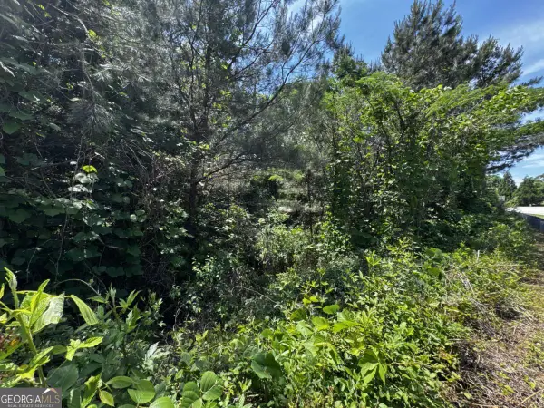 1465 Mineral Springs Road, Hoschton, GA 30548