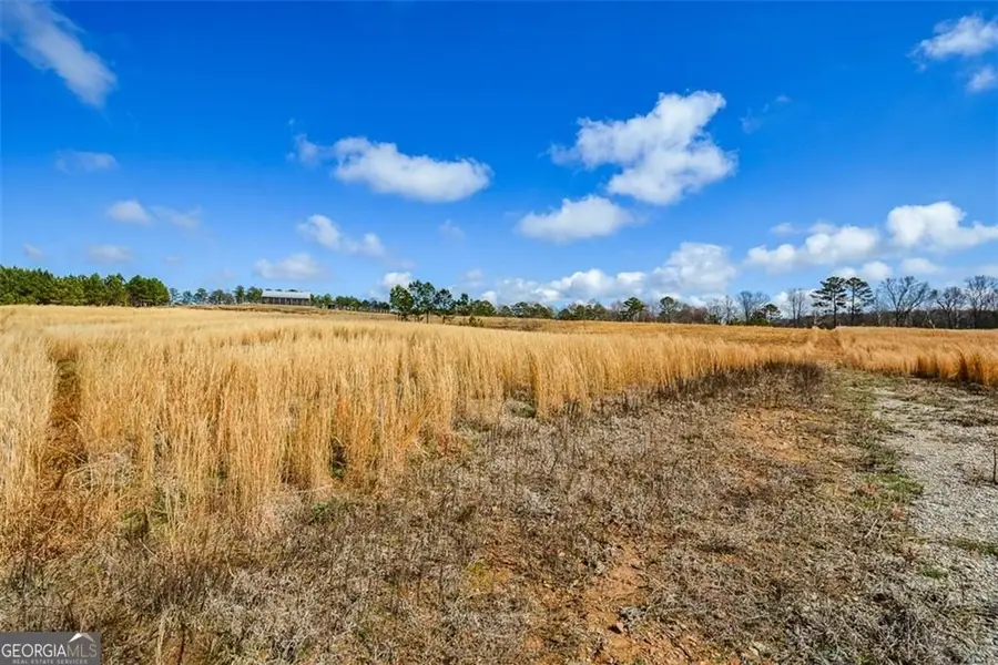 119 Inland Drive 3 Acres, Talking Rock, GA 30175 - #3