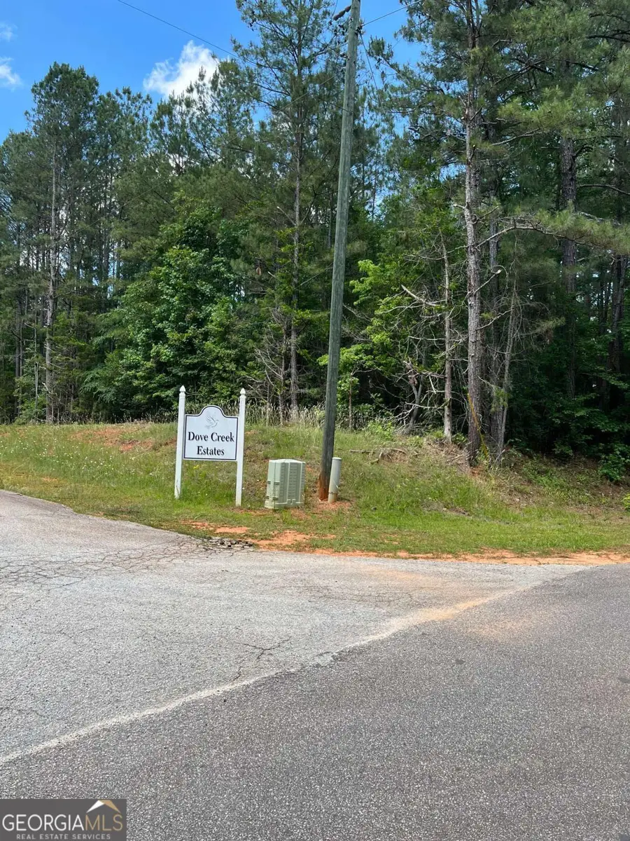 0 Stinchcomb Road, Elberton, GA 30635 - #2