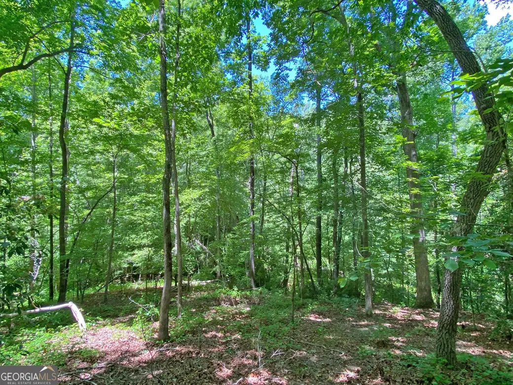 0 Hickory Nut Trail, Dahlonega, GA 30533 - #1