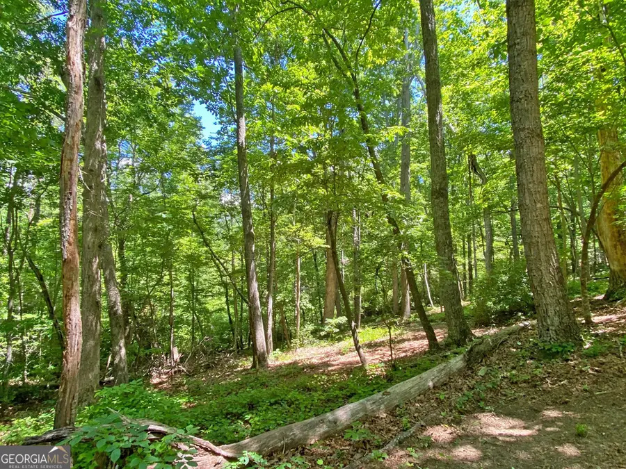 0 Hickory Nut Trail, Dahlonega, GA 30533 - #3