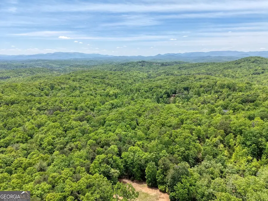 57.30 AC Blue Arrow/angel Creek, Mineral Bluff, GA 30559 - #2