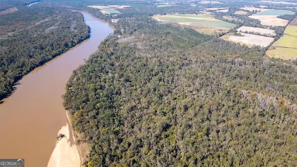 0 Grays Landing Road, Uvalda, GA 30473