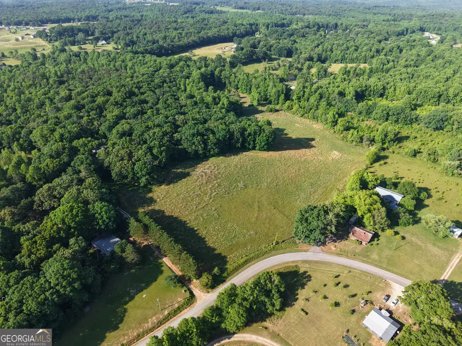 0 Jim Thomas Road, Demorest, GA 30535 - #3