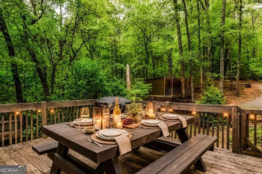 317 North Pine Road, Ellijay, GA 30536 - #2
