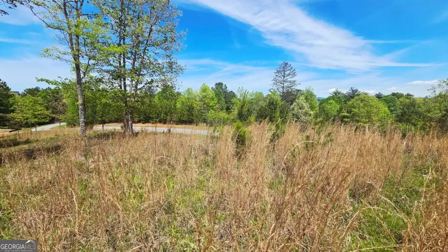LOT 48 Water Oak Lane, Blairsville, GA 30512 - #2