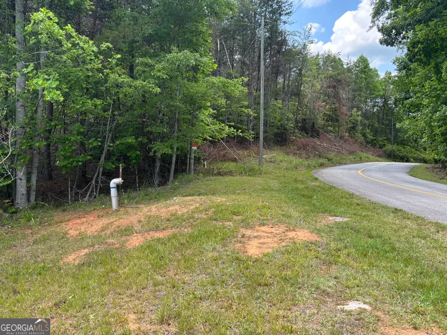 0 Cub Trail, Sautee Nacoochee, GA 30571 - #2