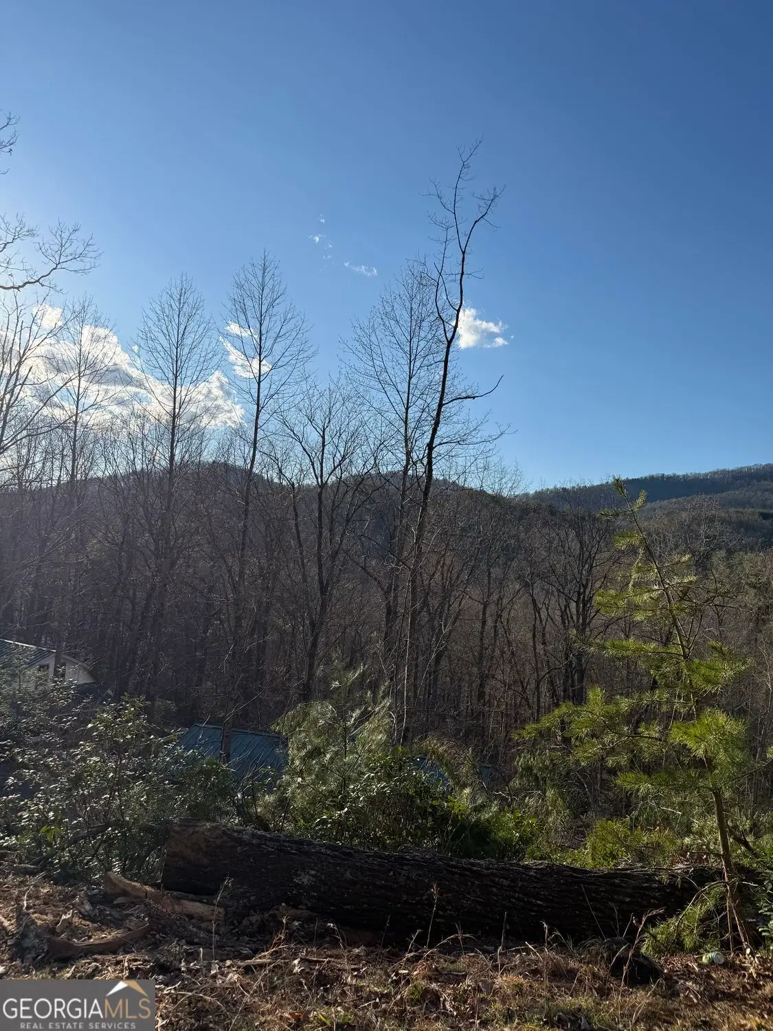 LOT 6D Meadow View Lane, Cleveland, GA 30528 - #1