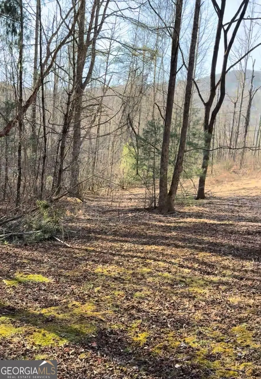 LOT 6D Meadow View Lane, Cleveland, GA 30528 - #3