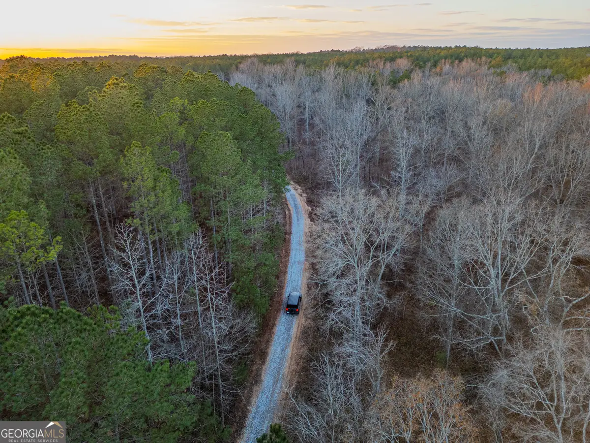 2 Smith Rocky Branch Road, Carlton, GA 30627 - #1