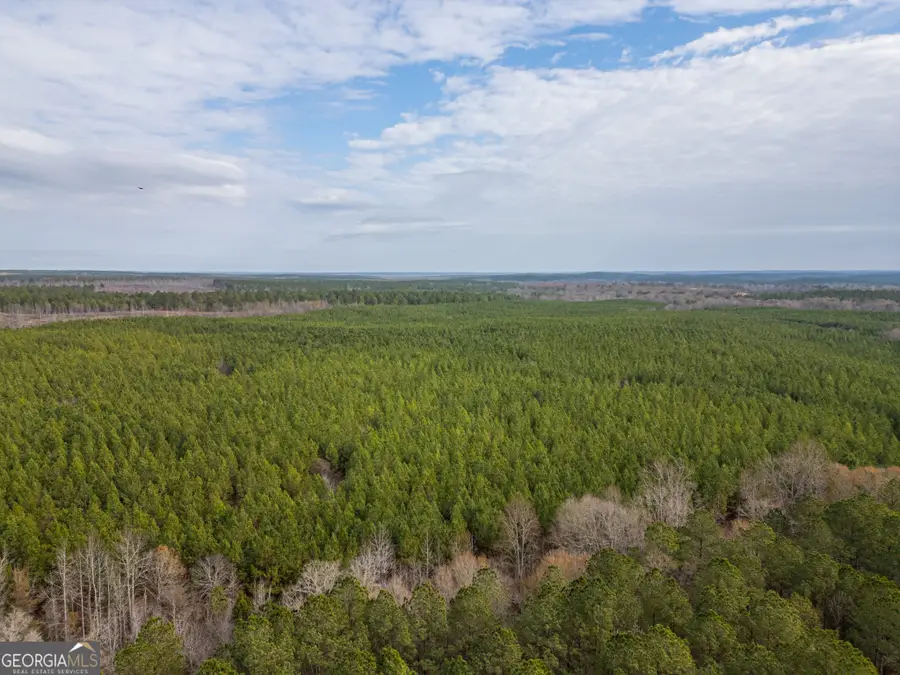 2 Smith Rocky Branch Road, Carlton, GA 30627 - #2