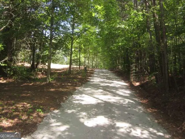 0 Hwy 136 W, Talking Rock, GA 30175 - #3