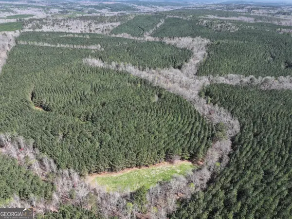 257 +/- Acres On Ridgeway Road, Franklin, GA 30217