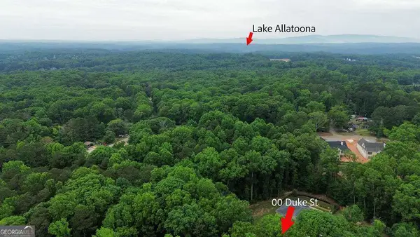 00 Duke Street, Canton, GA 30114