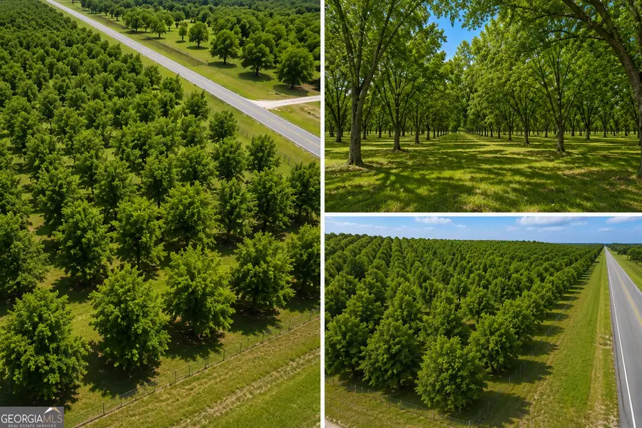 0 Tennille Harrison Road, Tennille, GA 31089 - #3