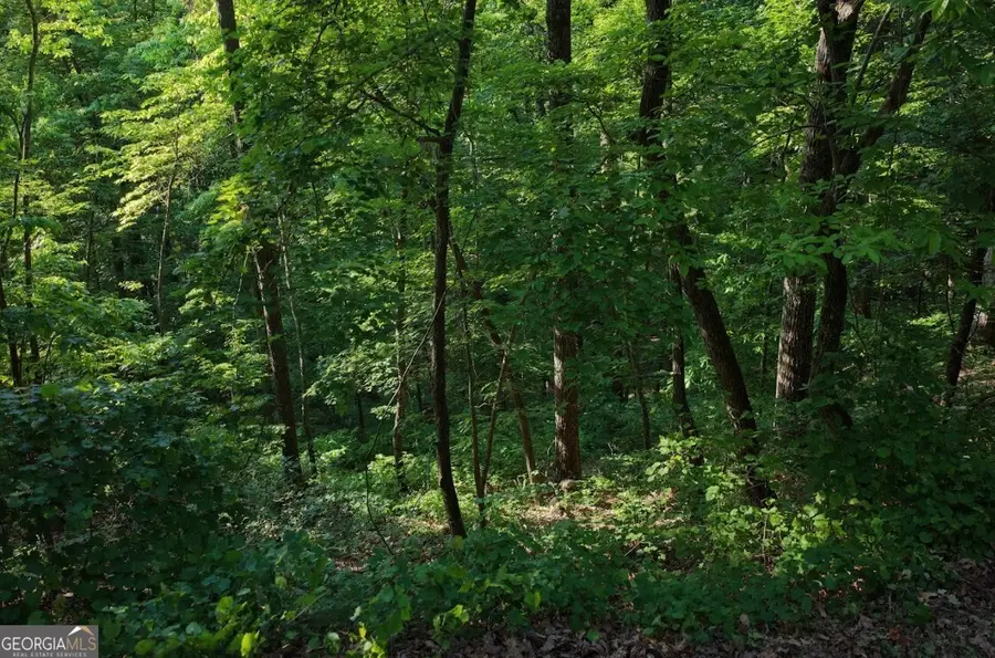 115 Carters Overlook, Ranger, GA 30734 - #3