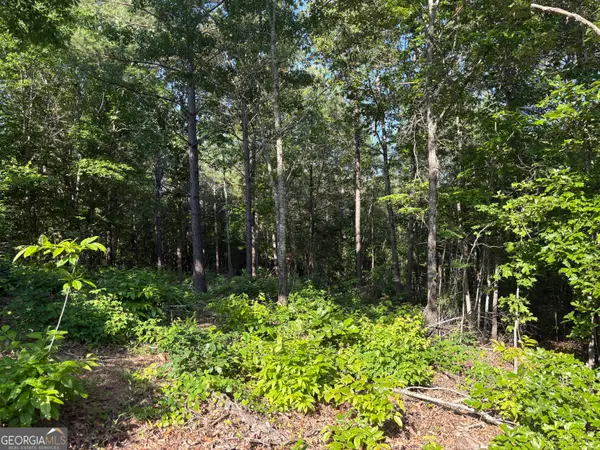 0 Anna Claire Court #LOT 11, Monticello, GA 31064