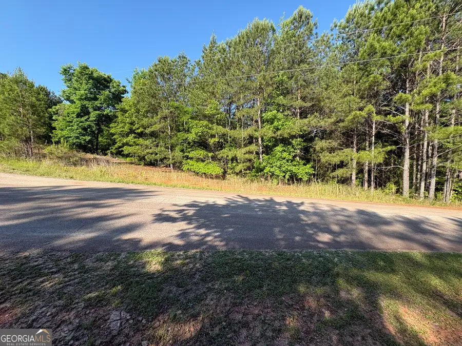 0 Anna Claire Court #LOT 11, Monticello, GA 31064 - #3