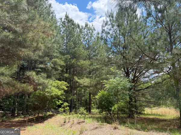 008 George Milling Rd, Toomsboro, GA 31090