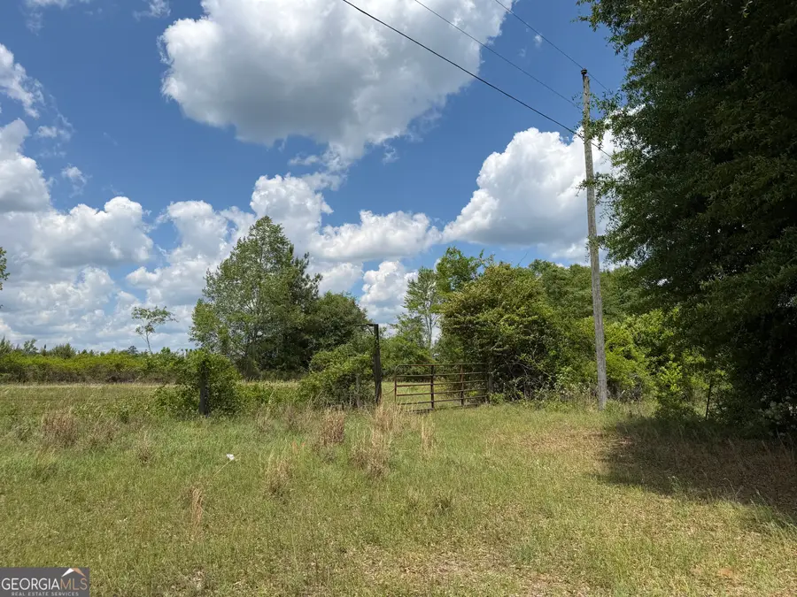 008 George Milling Rd, Toomsboro, GA 31090 - #2