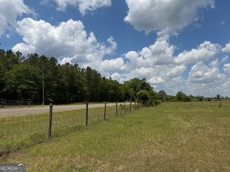 008 George Milling Rd, Toomsboro, GA 31090 - #3