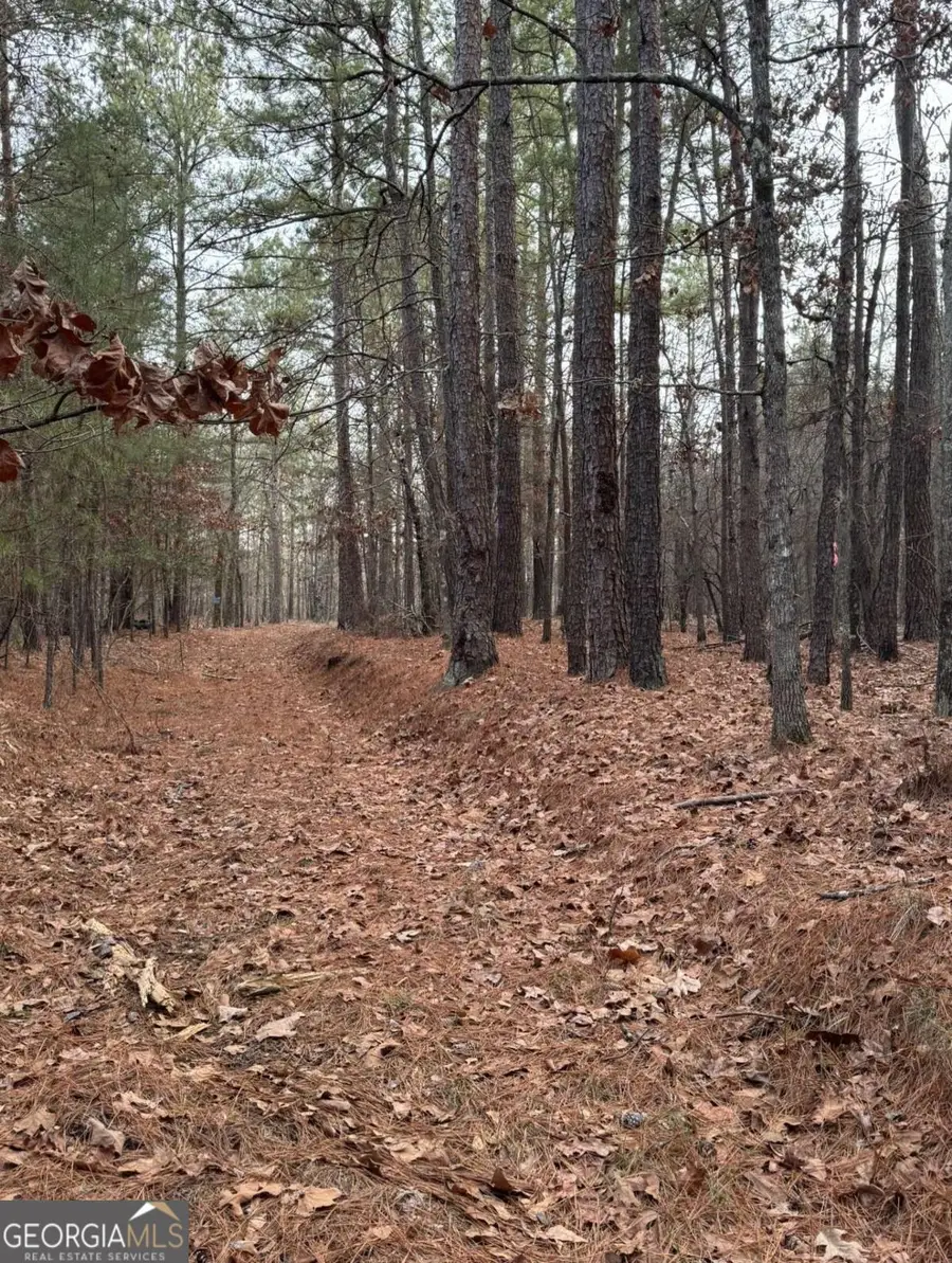 3744 Morton Bend Road, Rome, GA 30161 - #2