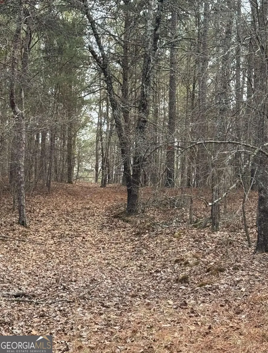3744 Morton Bend Road, Rome, GA 30161 - #3