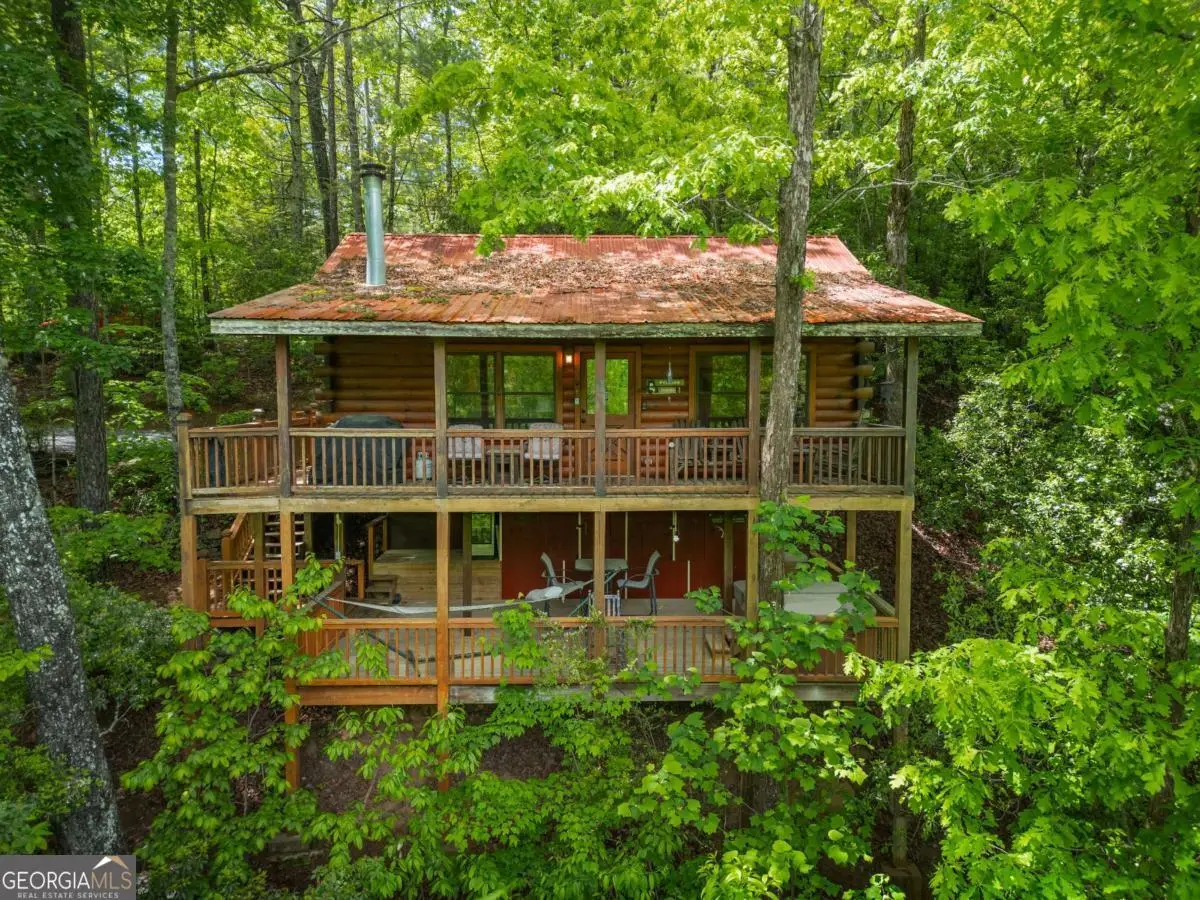 203 Mountain View Drive, Cherry Log, GA 30522 - #1