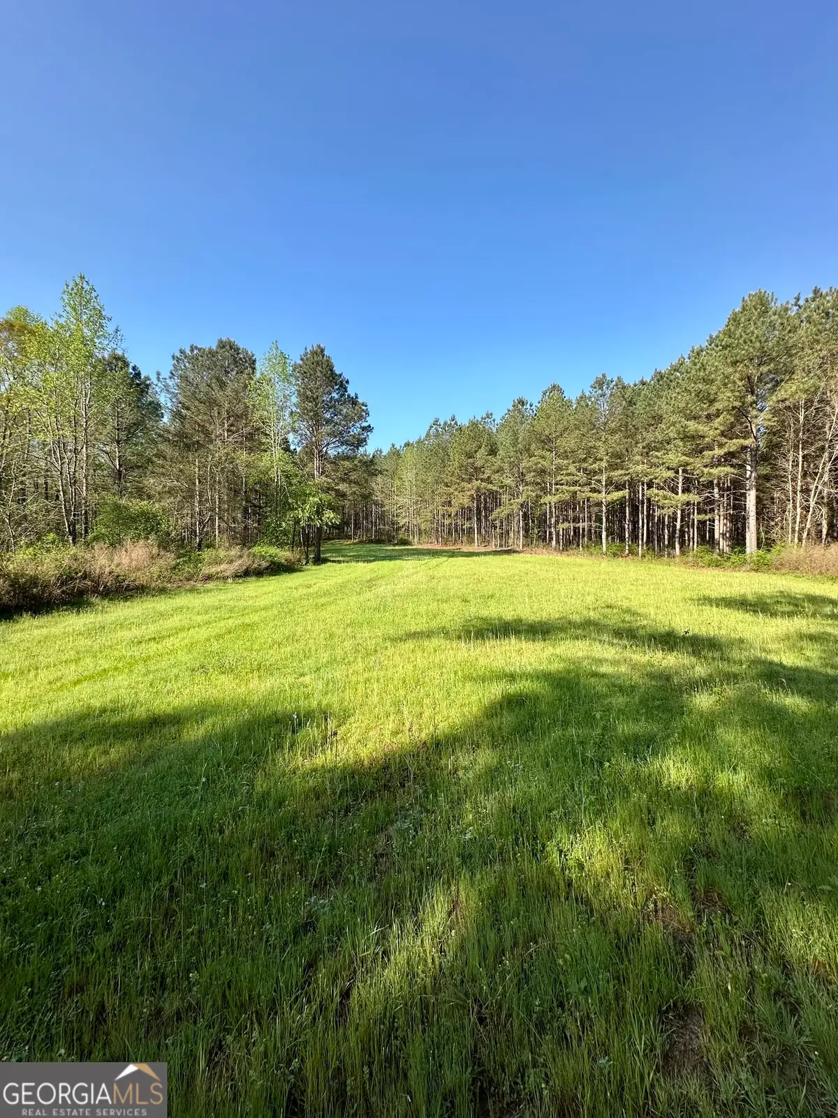 0 J.w. Dunn Road, Warm Springs, GA 31830 - #1