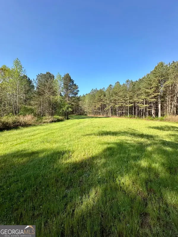 0 J.w. Dunn Road, Warm Springs, GA 31830