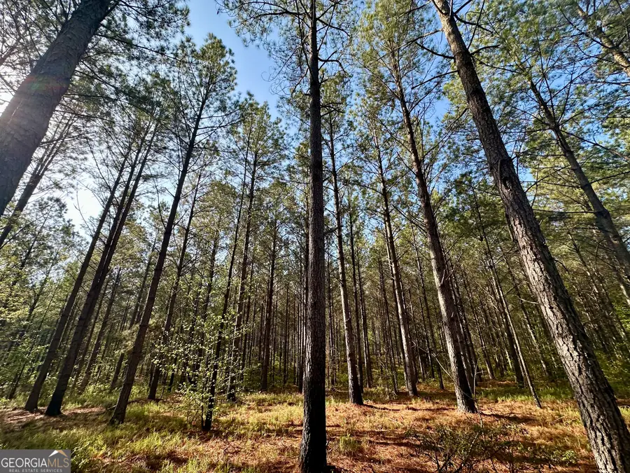 0 J.w. Dunn Road, Warm Springs, GA 31830 - #2