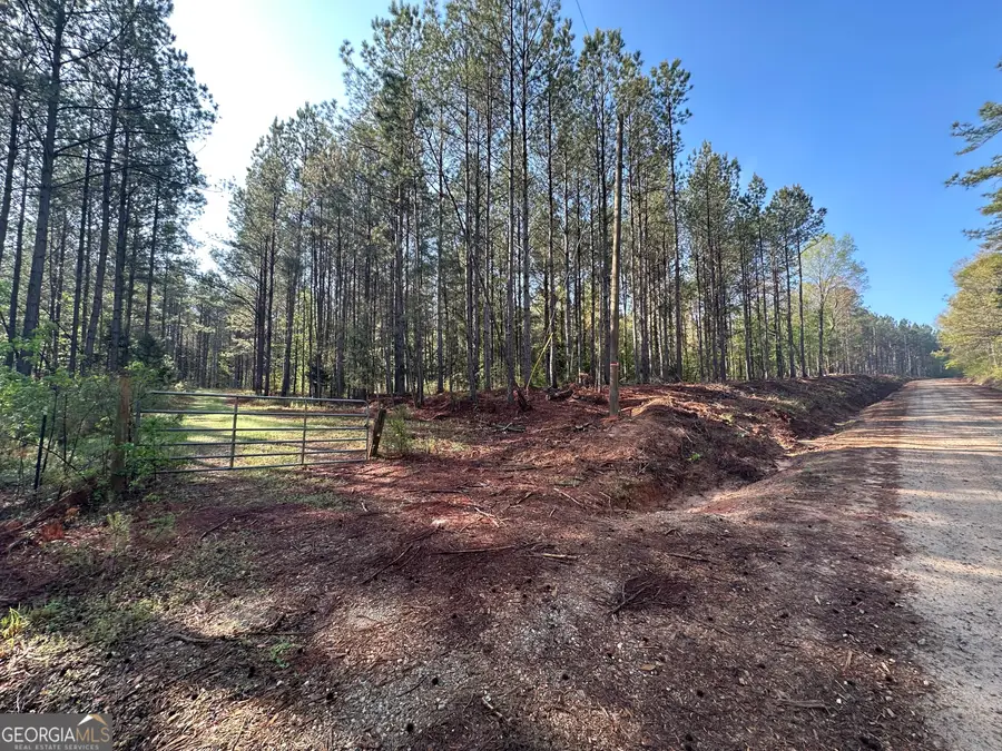 0 J.w. Dunn Road, Warm Springs, GA 31830 - #3