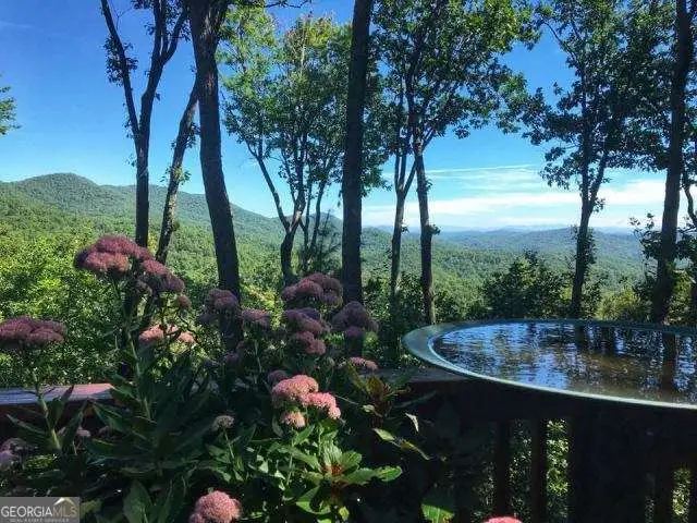 772 Double Knob Road, Ellijay, GA 30540 - #3