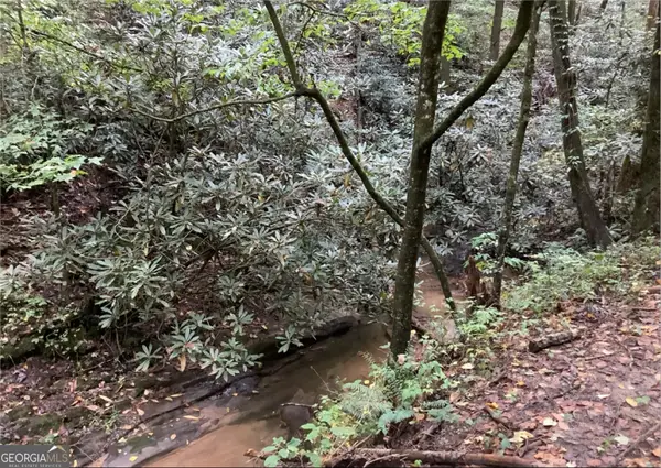 0 Laurel Overlook Road, Ellijay, GA 30540