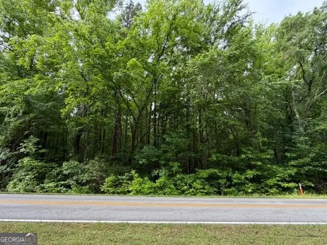 0 Hawkins Academy Rd, Social Circle, GA 30025 - #1